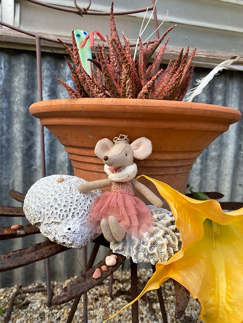 playful mouse at bonne terre.jpg