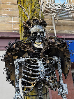 Heather Hayden Skeleton 2.jpg