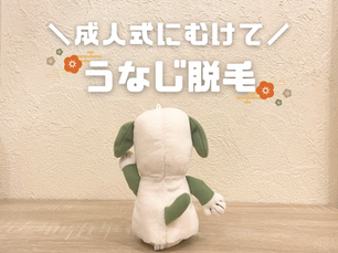 成人式に向けて うなじ脱毛⸜🌷︎⸝