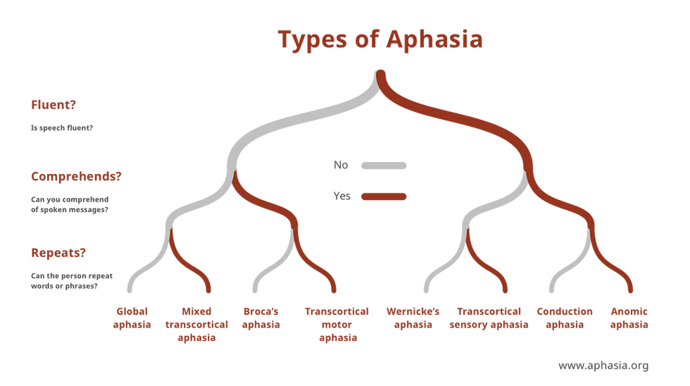types-of-aphasia.png