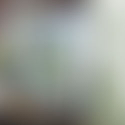 Découvrez une page de scrap automnale avec 4 photos de champignons 🍂 Réalisée avec le lot Aventure enchantée de Stampin’ Up! pour un rendu nature et doux.