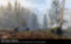carbon_world_c