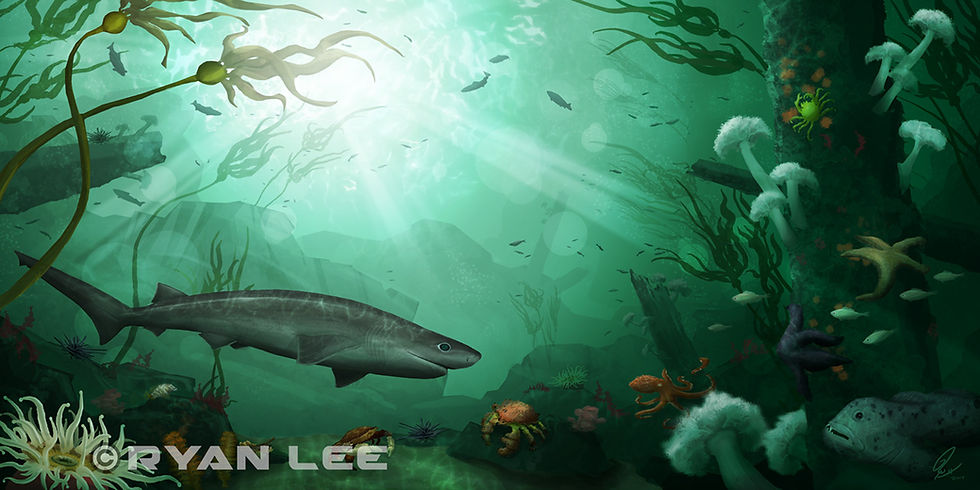 Sixgill