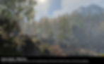 carbon_world_i