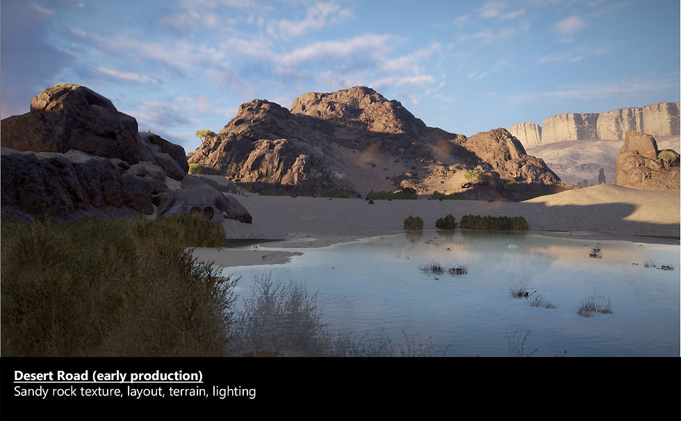 desert_road_09