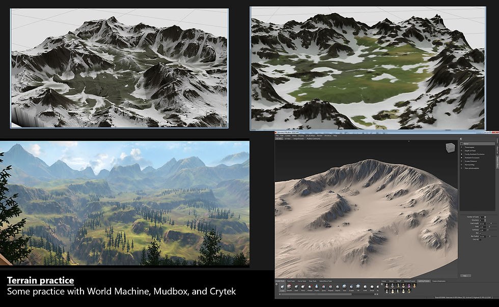 terrain