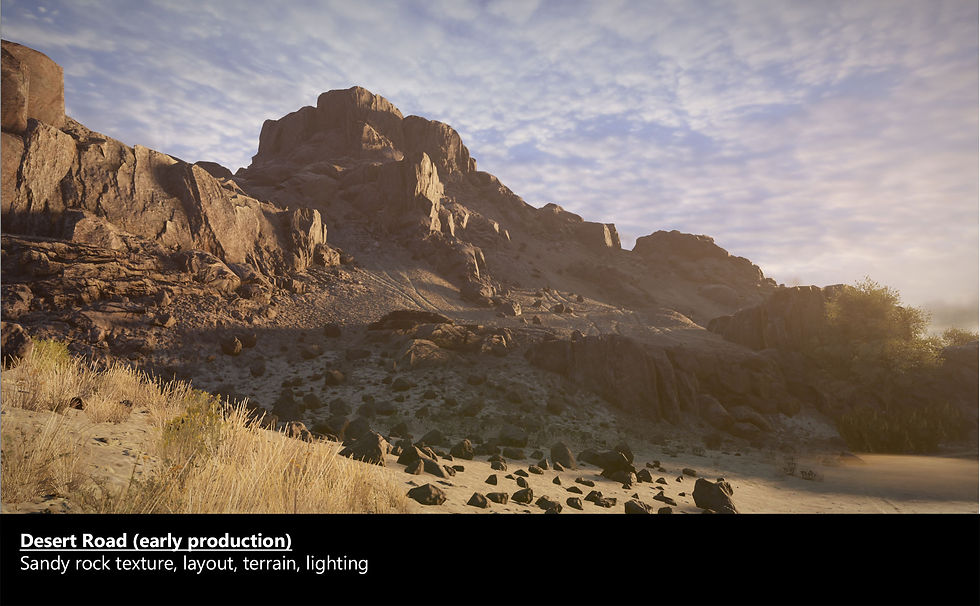 desert_road_11