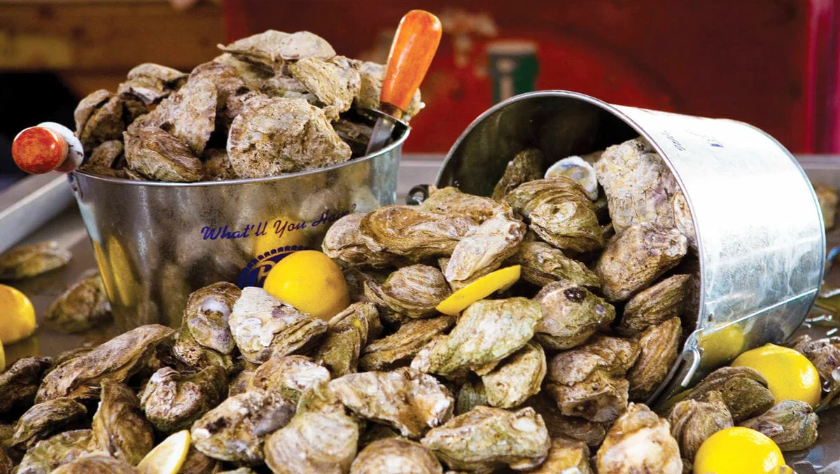 Oyster Roast