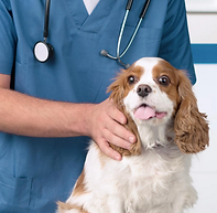 Screenshot 2019-10-07 at 12.49.05.png