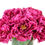 Thumbnail: Creative Displays, Inc. Peonies Floral Arrangement in Vase (PE)