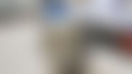 Czech, Sterilizer KEA inspection