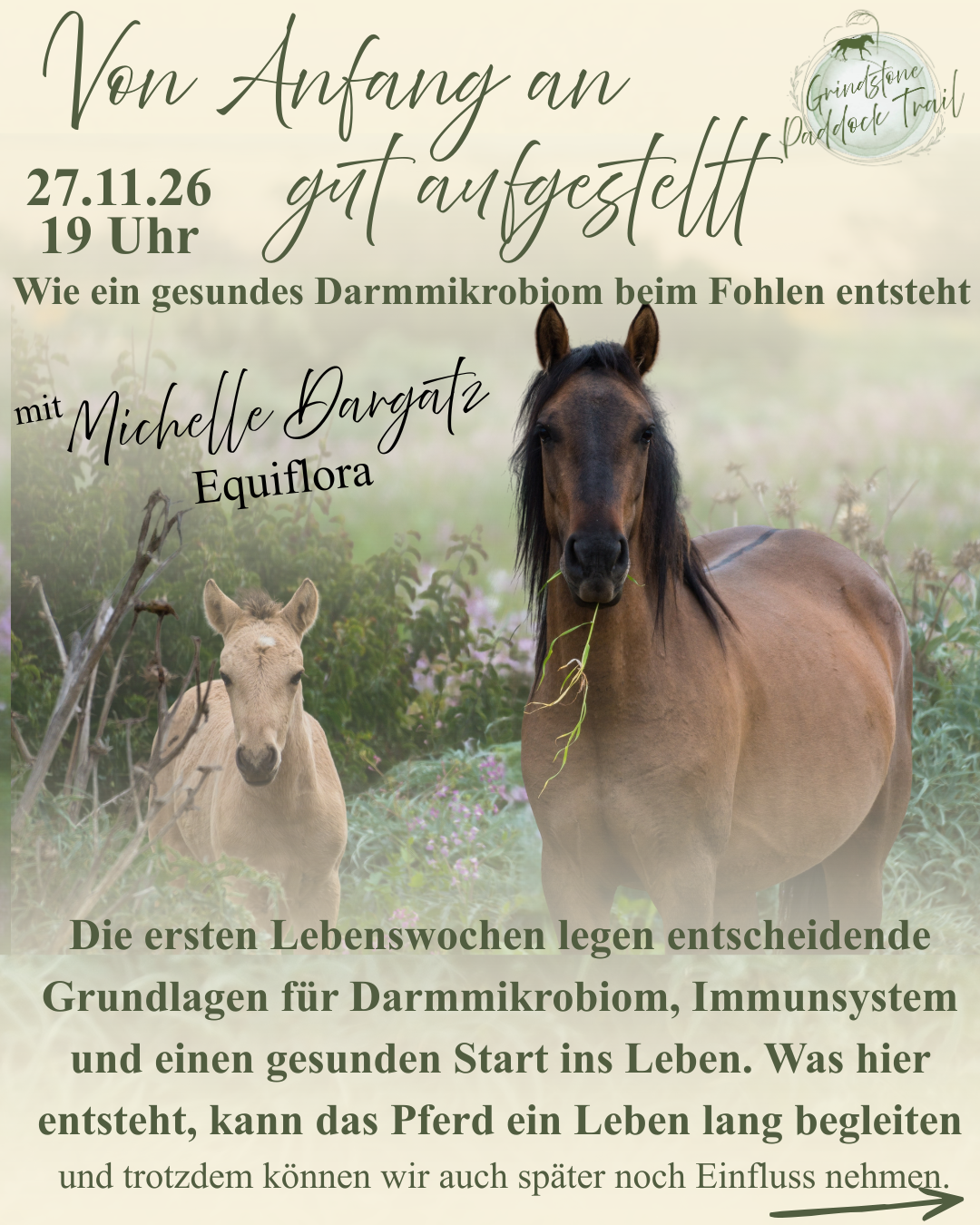 Wie ein gesundes Darmmikrobiom beim Fohlen entsteht - Webinar