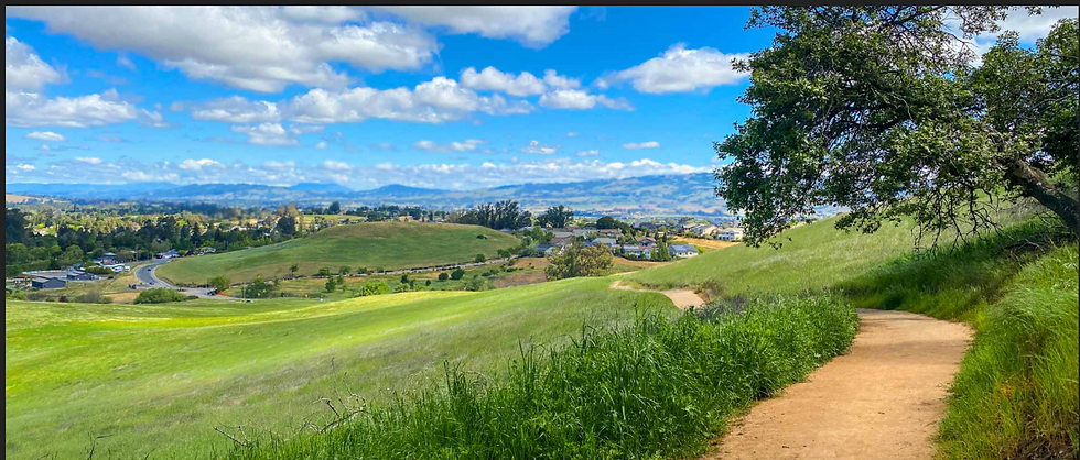 Sonoma County