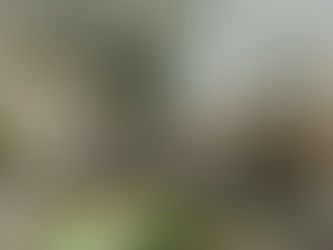 Atiende Edoméx estallido de pirotecnia en inmueble de Tultepec