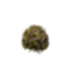 Thumbnail: Green Stem Radish Seeds