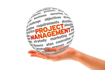Serialization Project Management