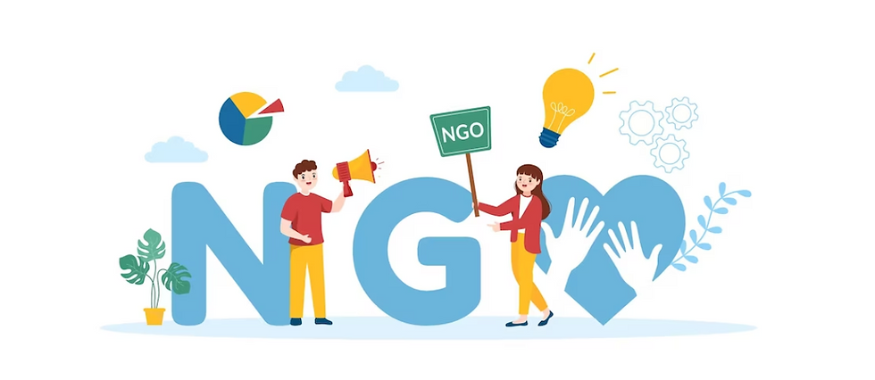 non-governmental organization