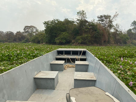 Pantanal, à voz das mulheres