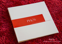 IMG_3890 PIXEL f