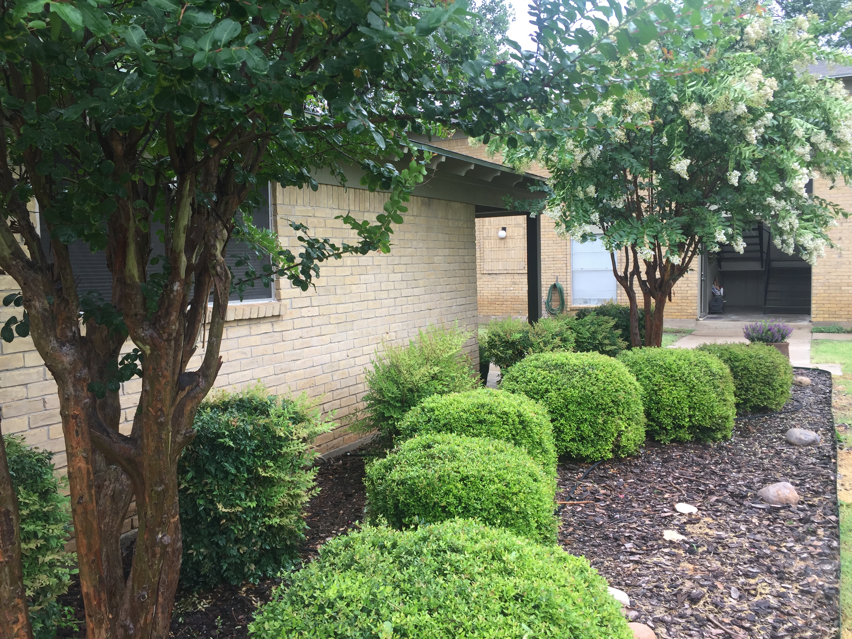 Apartments Oak Tree East Apartments