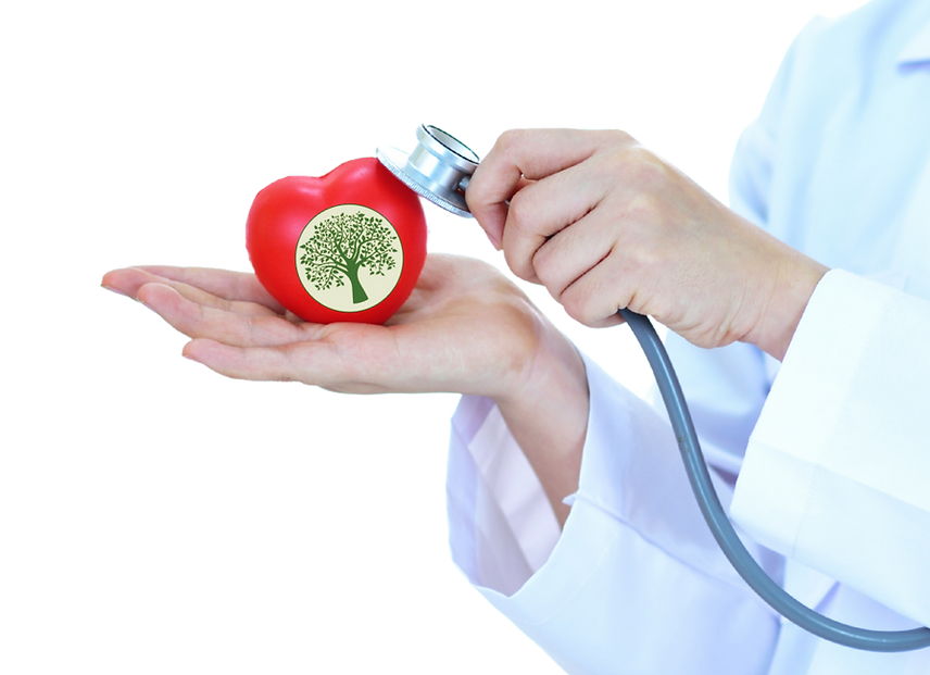 Providers (6).png