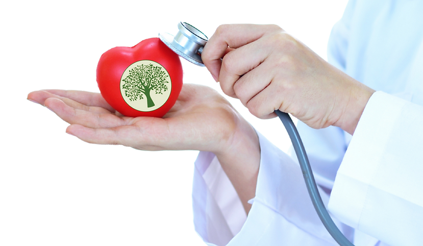 Providers (6).png