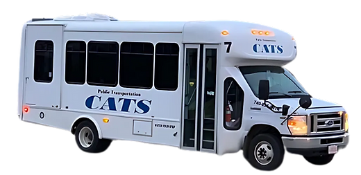 cats-bus.png