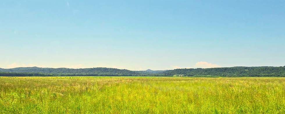 valley-header-image.png