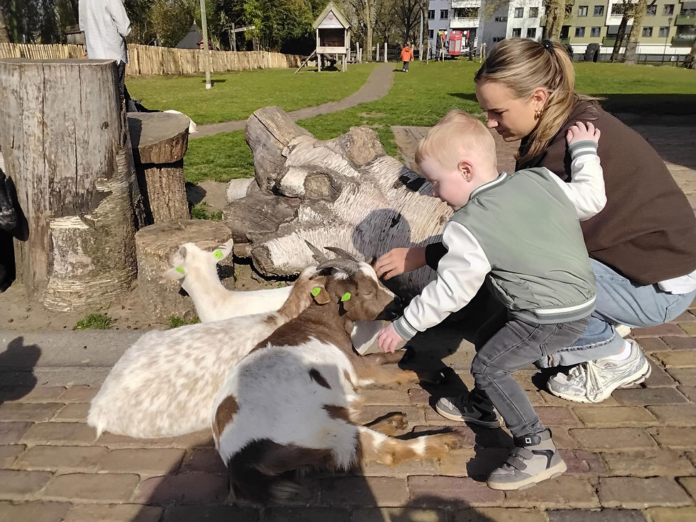 Kinderboerderij