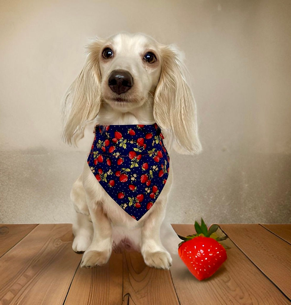 Dog Bandana Strawberry Delight by Woof Stuff Dublin Ireland