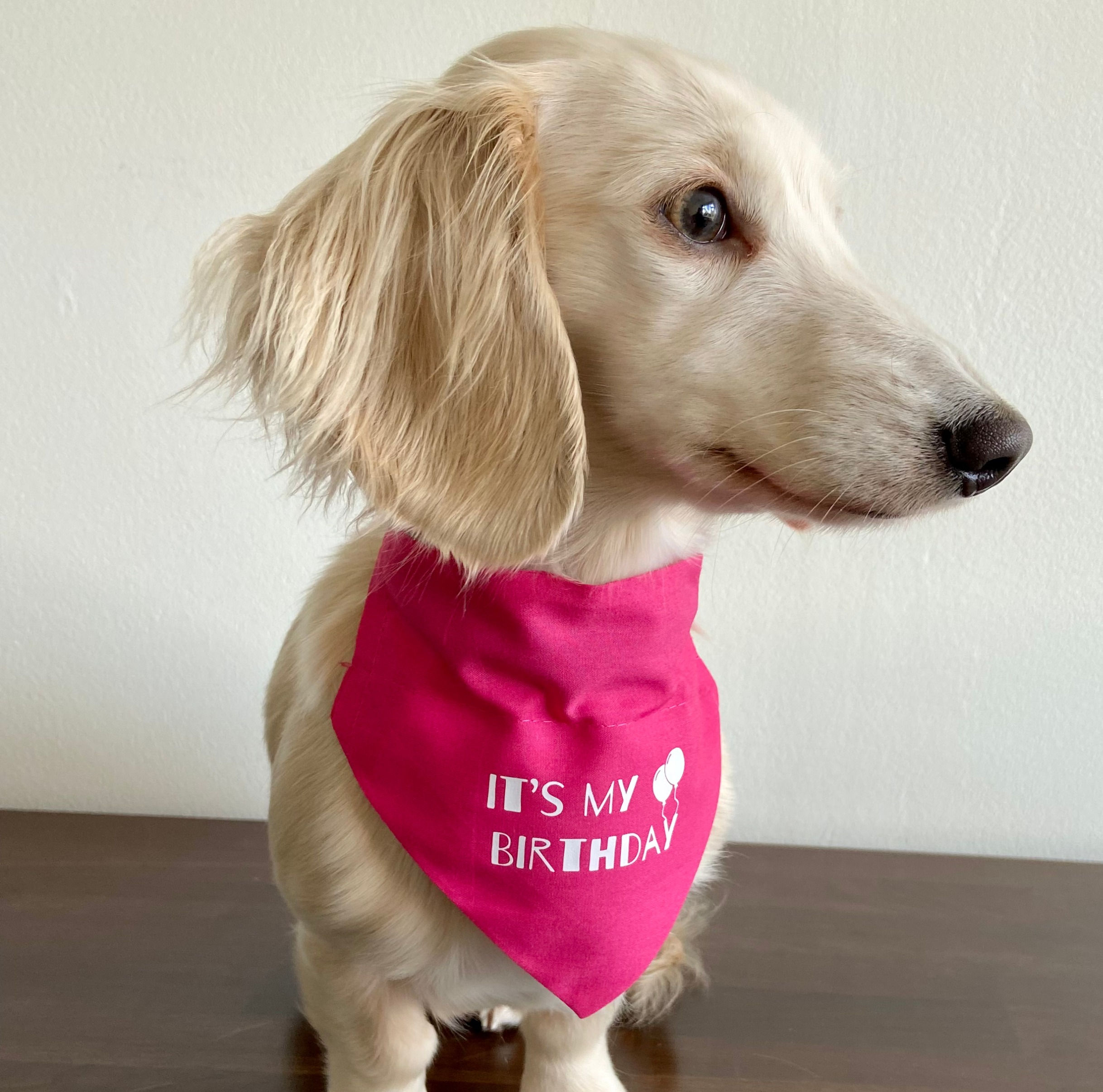 Dog Bandana It's My Birthday Pink by Woof Stuff