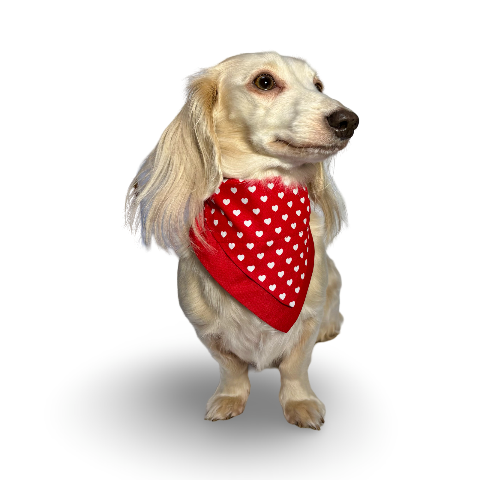 Dog Bandana Red with White Love Hearts by Woof Stuff Dublin Ireland