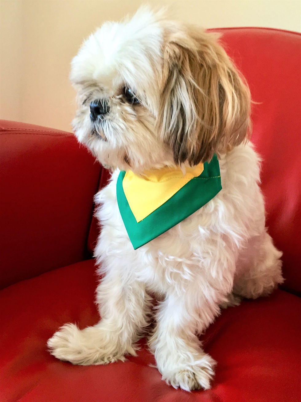 Corofin County Colours Bandana
