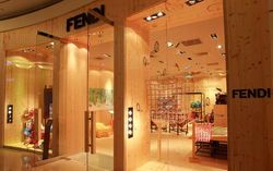 ishan13_fendi_bg
