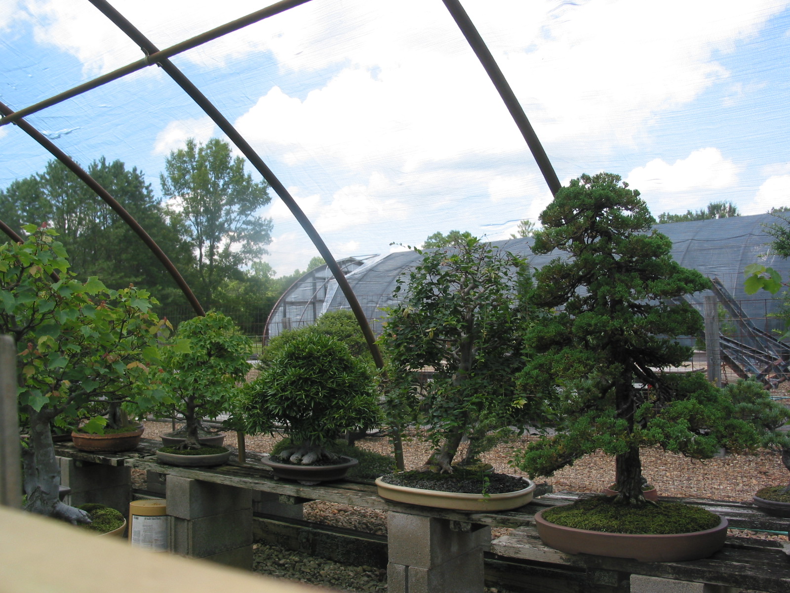 From inside.
