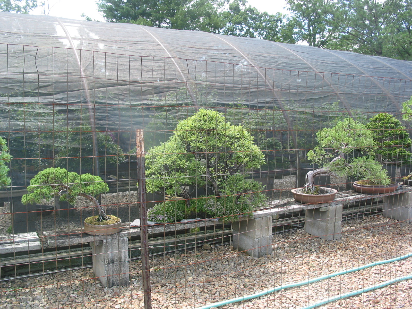Hoop house from outside