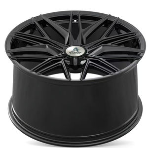 Intricate Spoke Alloy Wheels