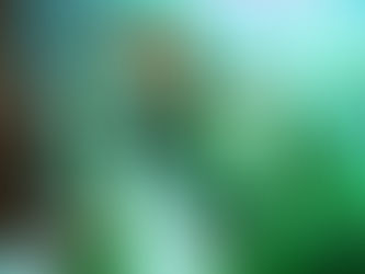 09.03