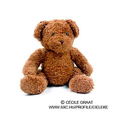 Brown Plush Toy Bear