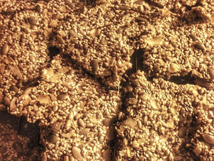 Et brett med sprøe frø-knekkebrød!