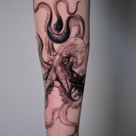 Black and grey octopus illustrative tattoo by Seong-ho