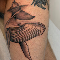 Black and grey whale tattoo by Neet