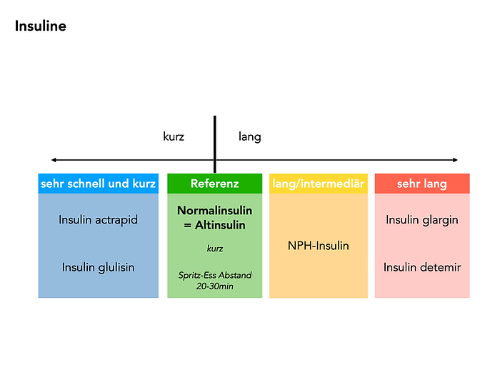 Wirkdauer Insuline, Insulin actrapid, Insulin glargin, Insulin glulisin, Insulin detemir, Normalinsulin, Altinsulin, NPH-Insulin, Langzeitinsulin