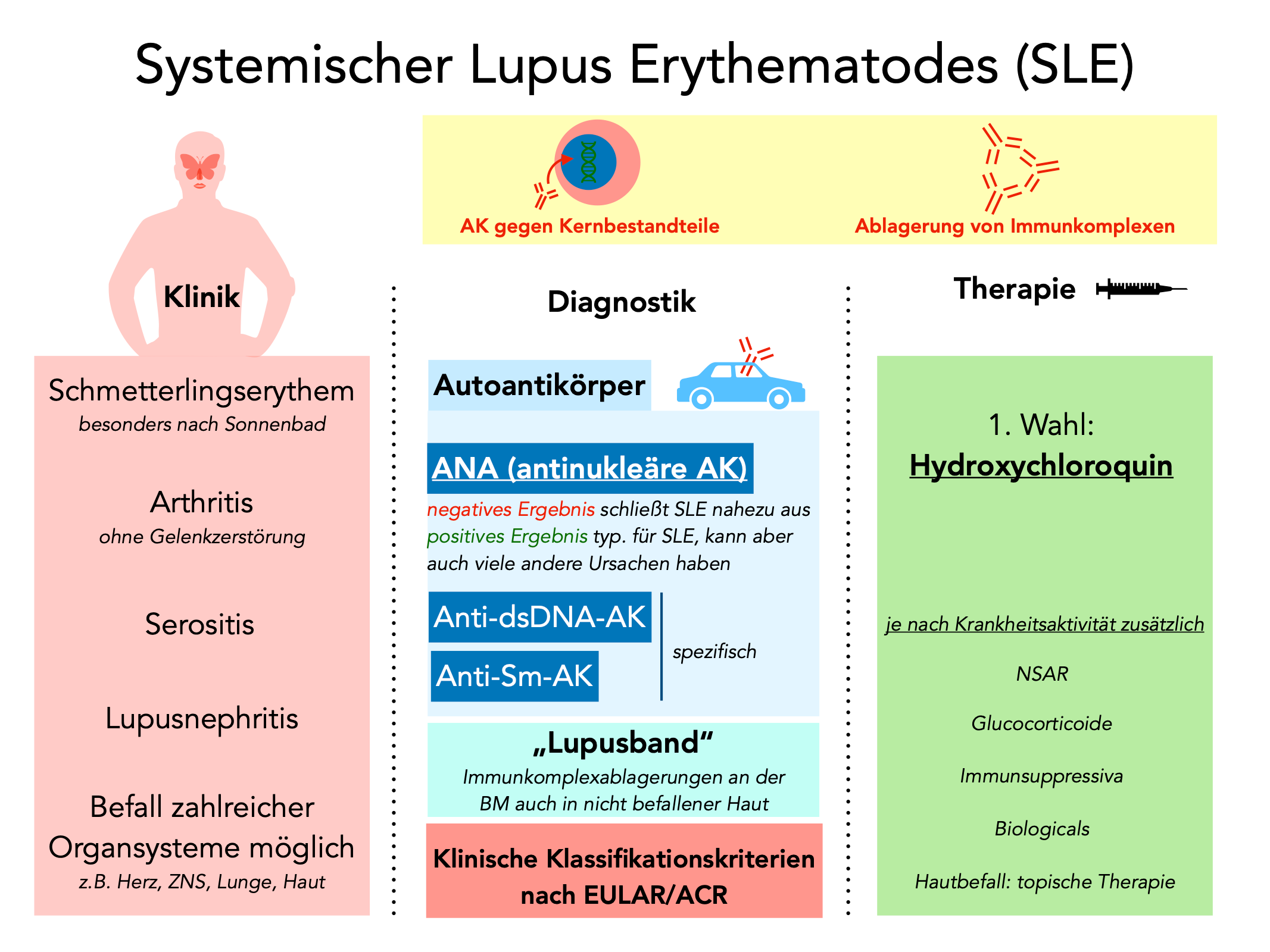 Lupus Erythematodes Grad Der Behinderung www.medimem.de