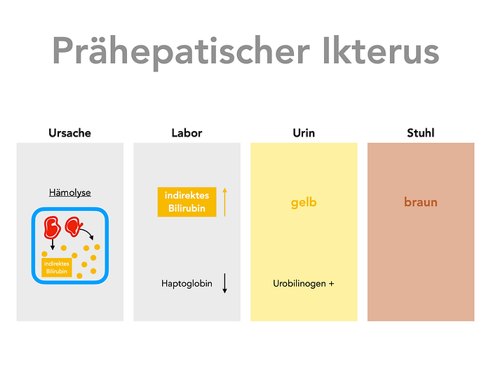 prähepatischer Ikterus, Ursachen
