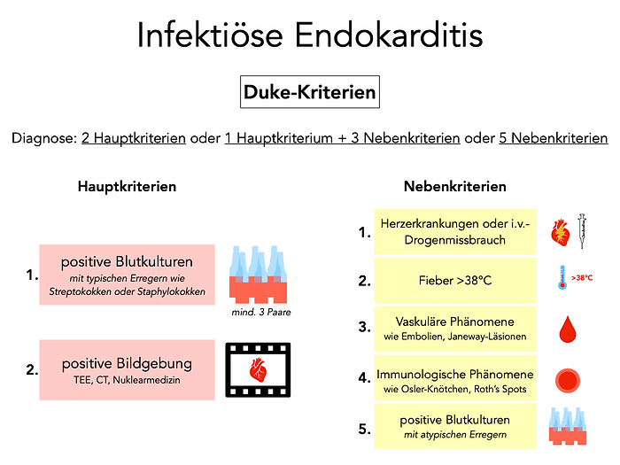 infektiöse Endokarditis, Duke Kriterien, Hauptkriterien, Nebenkriterien