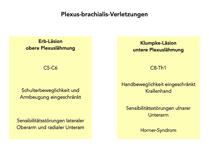 Plexus brachialis Verletzungen, Klumpke-Lähmung, Erb-Lähmung