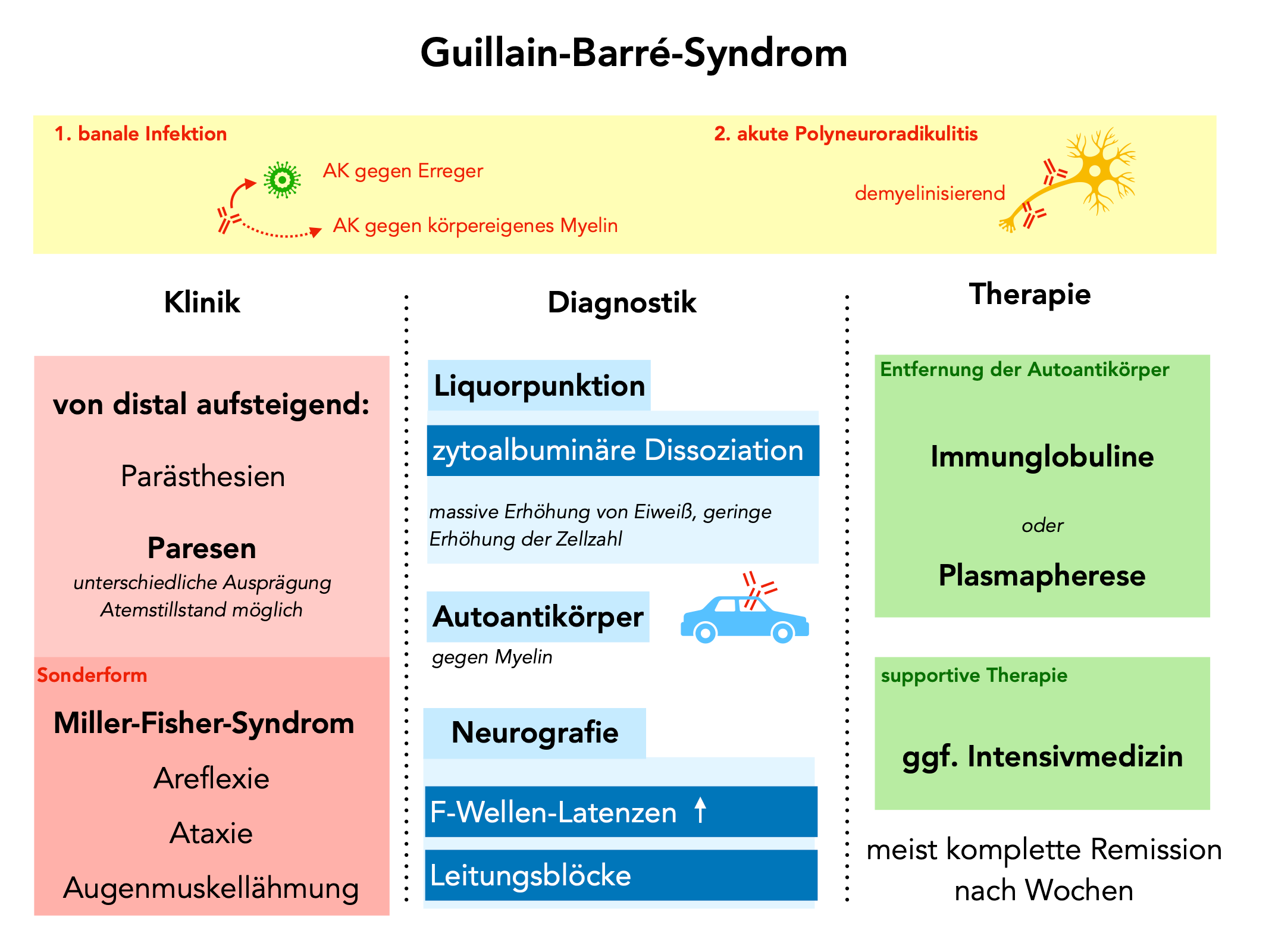GuillainBarréSyndrom Neurologie