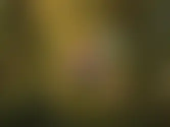 Cute owl with glowing eyes in a mossy enchanted forest, surrounded by floating pinecone, branch, and pink gem symbols.