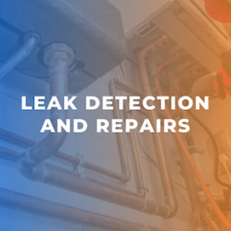 Expert leak detection and repair services
